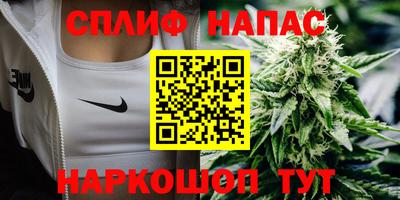 Альфа ПВП Славгород