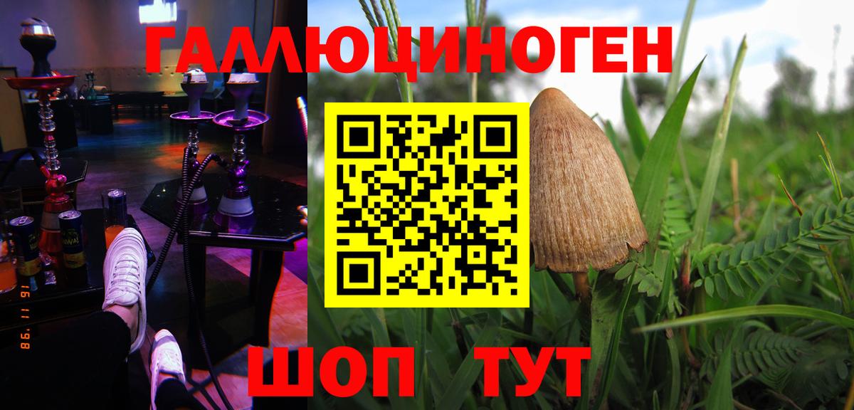Галлюциногенные грибы Cubensis Новотроицк